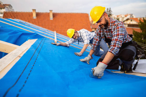 Best Storm Damage Roof Repair  in Mccla, AL