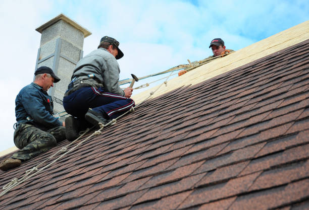 Best New Roof Installation  in Mccla, AL